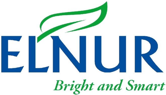 Elnur-Logo